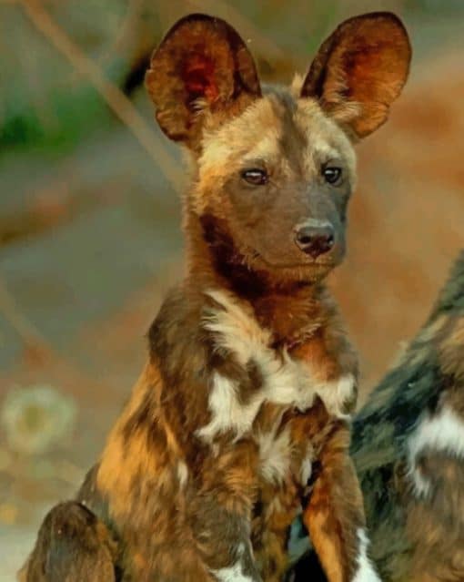 African Wild Dog paint by numbers