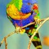 Angry Parrot Paint By Numbers