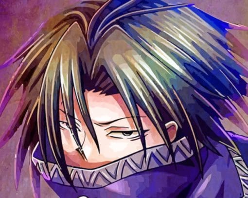 Feitan Portor Anime Character paint by numbers