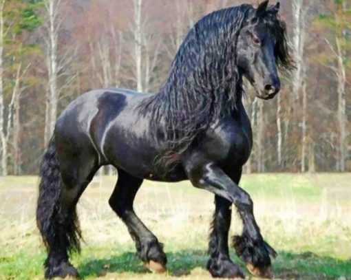 Friesian Horse paint by numbers