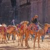 Jordan Petra Camels Paint By Numbers