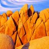 Joshua Tree National Park Rocks Paint By Numbers