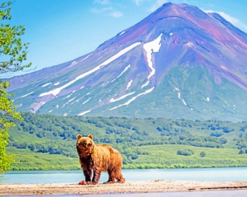 Kamchatka Russian Lake Paint By Numbers