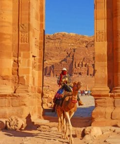 Petra Camel Paint By Numbers