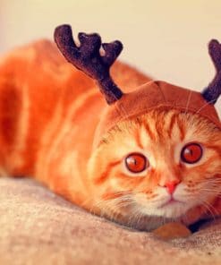 Reindeer Cat With Horns paint by numbers