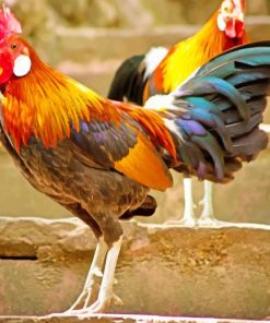 Strong Colorful Rooster Paint By Numbers
