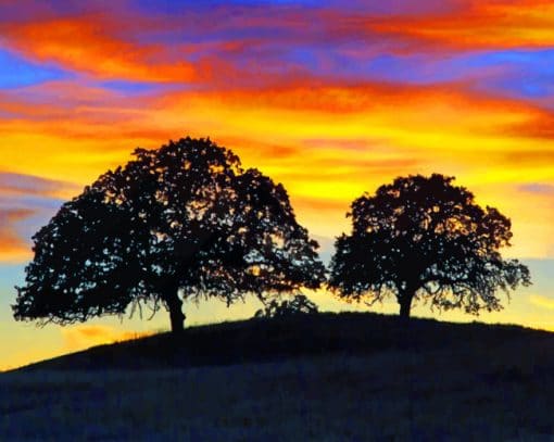 Sunset Trees Paint By Numbers