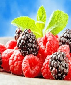 Sweet Berries Fruit paint by numbers
