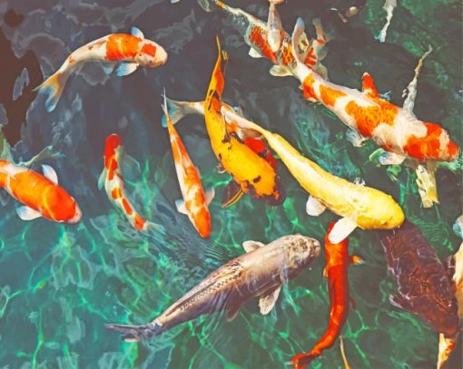 Swimming Colorful koi fish Paint By Numbers