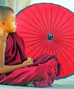 Young Buddhist Monk paint by numbers