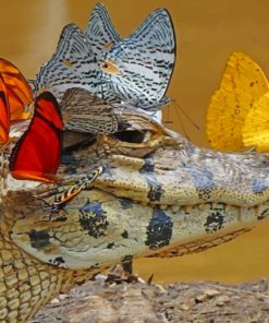 Alligator With Butterfly paint by numbers