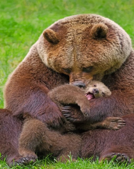 Bear Cub And Mom paint by numbers