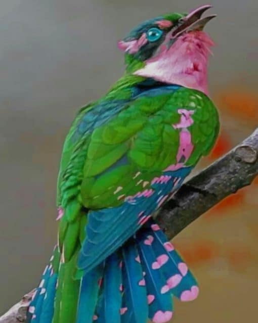 Beautiful Bird paint by numbers