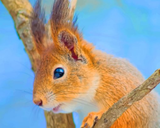 Brown Squirrel On Branch paint by numbers