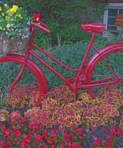 Red Bicycle And Flowers paint by numbers
