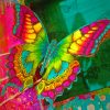 Colorful Butterfly Insect paint by numbers