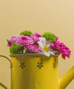 Flowers In Yellow Watering Can paint by numbers