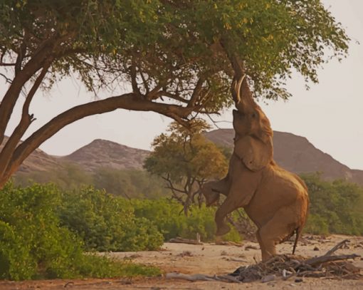 Gray Elephant Climbing A Tree To Eat paint by numbers