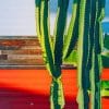 Sunny Green Cactus paint by numbers