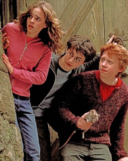 Harry Hermione And Ron paint by numbers