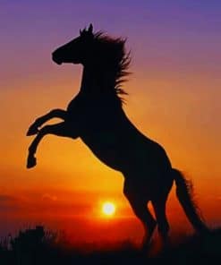 Horse At Sunset paint by numbers