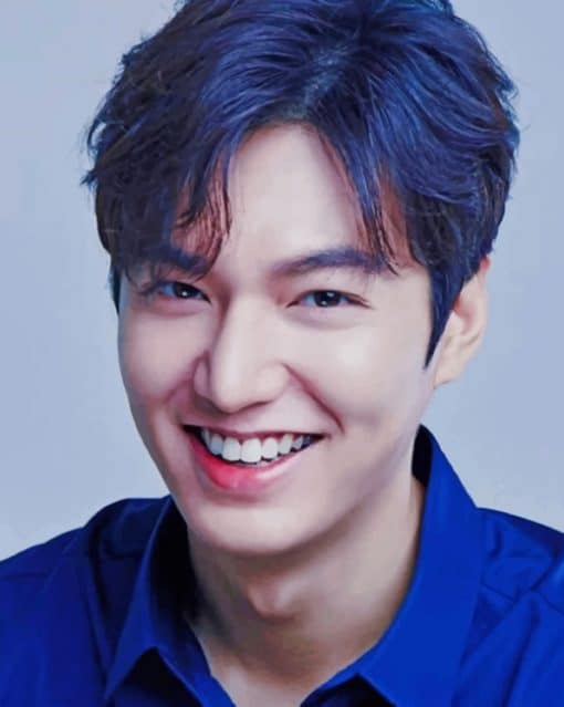 Lee Min Ho Smiling paint by numbers