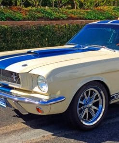 Mustang Fastback Gt500 paint by numbers