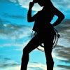 Silhouette Of Cowgirl paint by numbers