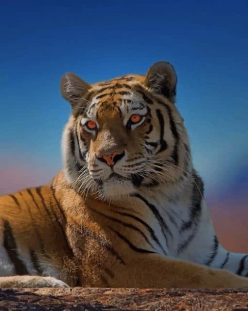 Tiger Portrait paint by numbers