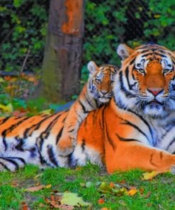 Big Tiger And His Cub paint by numbers