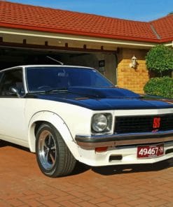 Holden Torana Ss paint by numbers
