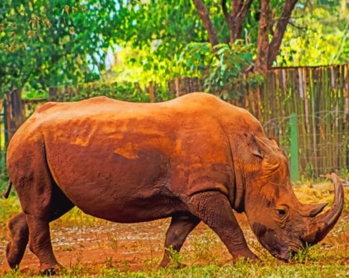 African Rhinoceros paint by numbers