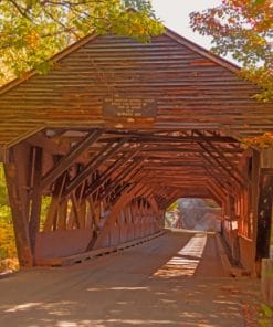 Albany Covered Bridge paint by numbers