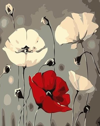 Red White Poppy Flower Paint By Numbers