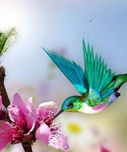 humming bird paint by numbers