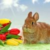 Bunny With Flowers paint by numbers