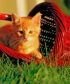 Cat In Basket paint by numbers