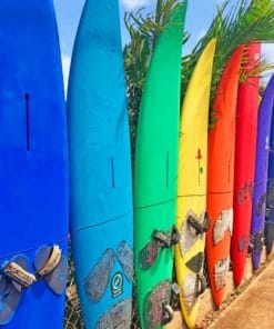 Colorful Surfing Boards Paint By Numbers
