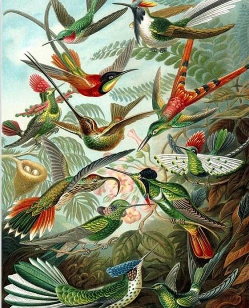 A flock of birds Paint by numbers