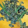 Irises Flower Vincent Van Gogh Paint By Numbers