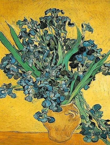 Irises Flower Vincent Van Gogh Paint By Numbers