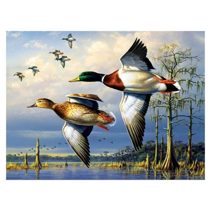 Canada Goose Birds Paint By Number Paint by numbers UK