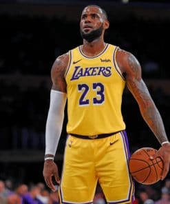LeBron James Los Angeles Lakers paint by numbers