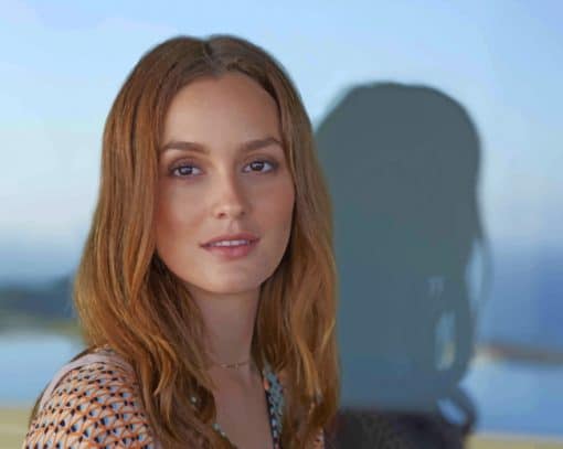 Leighton Meester paint by numbers