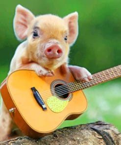 Little Pig With Guitar paint by numbers