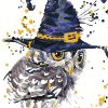 magical owl Paint by numbers