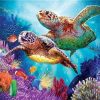 Turtle Couple – Animals Paint By Number Paint by numbers