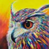 owl paint by numbers