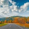 Autumn Road In Austria paint by numbers