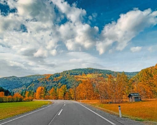 Autumn Road In Austria paint by numbers